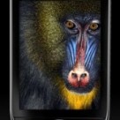 BlackBerry 101 – Tutorials for new users